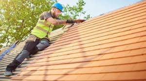 Best Solar Panel Roofing Installation  in Goodrich, MI