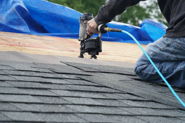 Best Asphalt Shingles Roofing  in Goodrich, MI