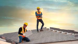 Best Roof Moss and Algae Removal  in Goodrich, MI